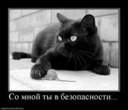 Прикрепленное изображение: 1.jpg