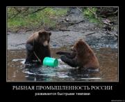 Прикрепленное изображение: 135171.jpg