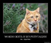 Прикрепленное изображение: Demotivation_koteiko.ru_8.jpg