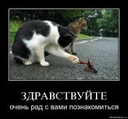 Прикрепленное изображение: Demotivation_koteiko.ru_10.jpg