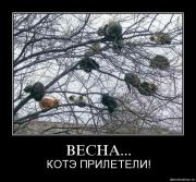 Прикрепленное изображение: Demotivation_koteiko.ru_14.jpg