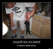 Прикрепленное изображение: Demotivation_koteiko.ru_15.jpg