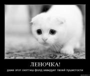 Прикрепленное изображение: lena.jpg