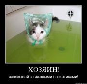 Прикрепленное изображение: 53001752_42025.jpg