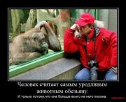 Прикрепленное изображение: 1263190912_demotivator004.jpg