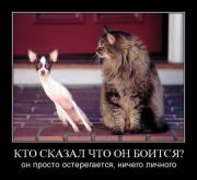 Прикрепленное изображение: Demotivations_cats_1_Koteiko.ru.jpg