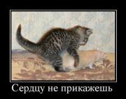 Прикрепленное изображение: ec445db8833e.jpg