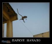 Прикрепленное изображение: 11e8cb39cf37.jpg