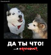 Прикрепленное изображение: 032b2e00b042.jpg