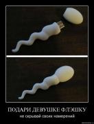 Прикрепленное изображение: 63da51065370.jpg