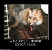 Прикрепленное изображение: 66a489644d9d.jpg