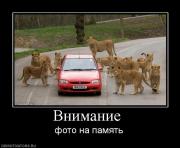 Прикрепленное изображение: 1263460508_625782_vnimanie_.jpg