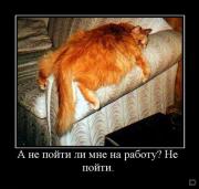 Прикрепленное изображение: 1263601700_10001.jpeg