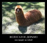 Прикрепленное изображение: c4aba56495d6.jpg