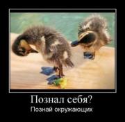 Прикрепленное изображение: caaff89be2e9.jpg