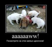 Прикрепленное изображение: d1445b48689f.jpg