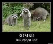 Прикрепленное изображение: demotivator_02.jpg