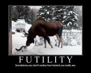 Прикрепленное изображение: ESLQDZN5WXO3BZEOEBXCMJNJSATISKWN.jpeg