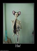 Прикрепленное изображение: x_b411adea.jpg