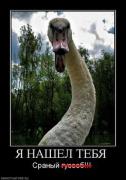Прикрепленное изображение: 91833_ya_nashel_tebya.thumbnail.jpg
