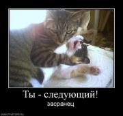 Прикрепленное изображение: 683955_tyi_sleduyuschij.thumbnail.jpg