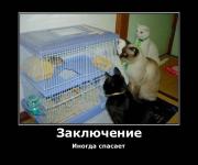 Прикрепленное изображение: 1233185022_demot_19.jpg