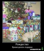 Прикрепленное изображение: 1233719667_demot_49.jpg