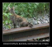 Прикрепленное изображение: 1234036588_demotivators_029.jpg