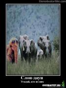 Прикрепленное изображение: 1235309463_demot_119.jpg