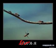 Прикрепленное изображение: 1237648612_037.jpg