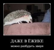 Прикрепленное изображение: 1240673390_1.jpg