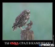 Прикрепленное изображение: 1245014701_demotivatory__www.votrube.ru_10.jpg