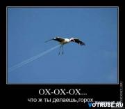 Прикрепленное изображение: 1245014701_demotivatory__www.votrube.ru_12.jpg