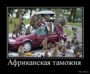 Прикрепленное изображение: 1261088614_59559b524744.jpg