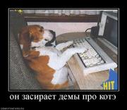 Прикрепленное изображение: 378923_on_zasiraet_demyi_pro_kote.jpg