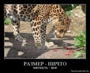 Прикрепленное изображение: 1262952531_1244349728_s3img_4987759_20086_1.jpg