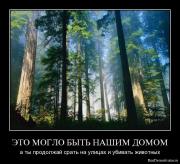 Прикрепленное изображение: 1261821547_kpxkv5phl3nd.jpg