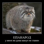 Прикрепленное изображение: 22.jpg