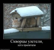 Прикрепленное изображение: x_59ac25ab.jpg