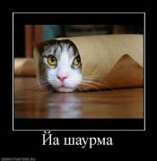 Прикрепленное изображение: x_d23dbba1.jpg