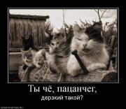 Прикрепленное изображение: 260257_tyi_chyo_patsancheg.jpg