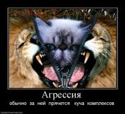 Прикрепленное изображение: 784546_agressiya.jpg