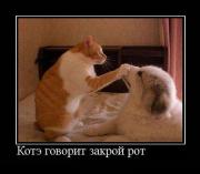 Прикрепленное изображение: x_b0ab7c44.jpg