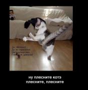 Прикрепленное изображение: 12.JPG