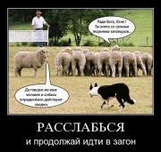 Прикрепленное изображение: x_ea13f563.jpg