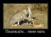 Прикрепленное изображение: 1269603036_1265438669_demotivq.jpg