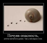 Прикрепленное изображение: 1269603058_1269158870_582714_pochuyav_opasnost.jpg