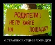 Прикрепленное изображение: 1269603113_1269158863_irakrbs5ny6c.jpg