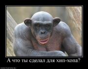 Прикрепленное изображение: 840464_a_chto_tyi_sdelal_dlya_hip_hopa.jpg
