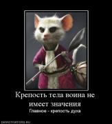 Прикрепленное изображение: 170955_krepost_tela_voina_ne_imeet_znacheniya.jpg
